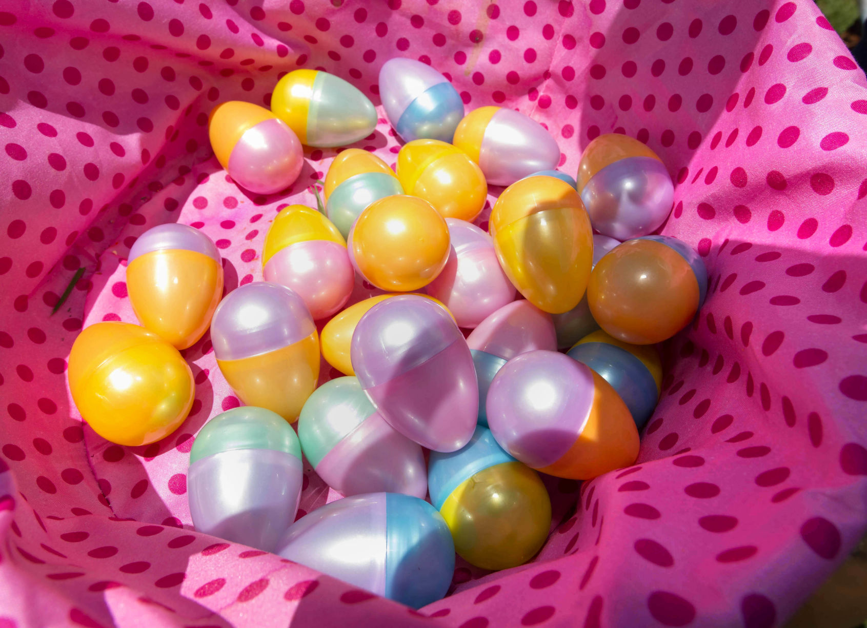 BR.eggdrop. TS 60.jpg